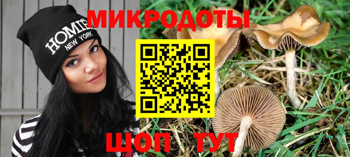 Тула  Псилоцибиновые грибы мухоморы  Псилоцибиновые грибы ЛСД  Вход с VPN 