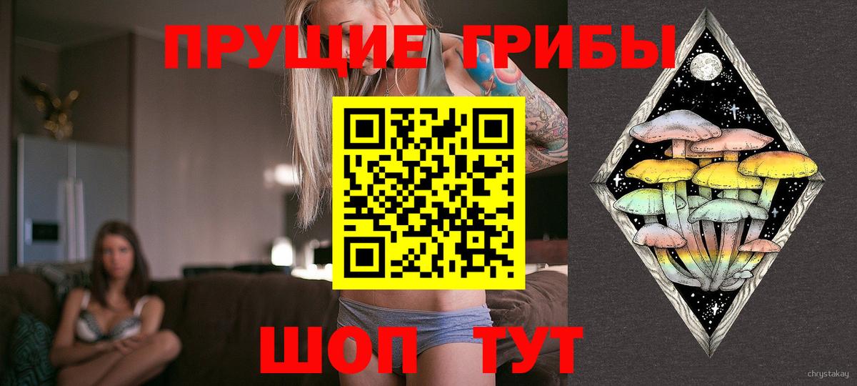 Галлюциногенные грибы мицелий Тула